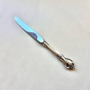 Lunt Silversmith Delacourt Modern Hollow Knife